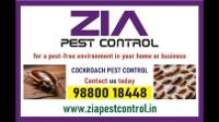 Zia pest control service Say goodbye to these pesky insects